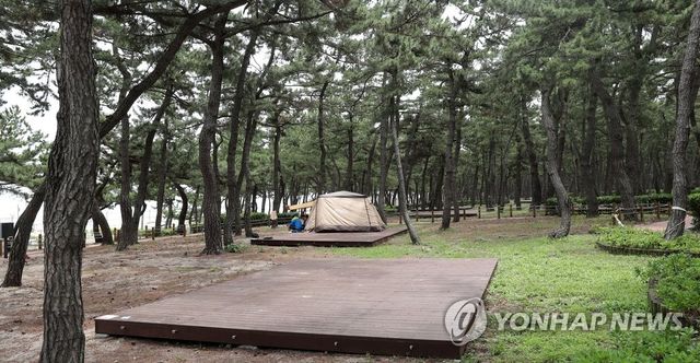 소나무 숲에 조성한 솔향기캠핑장