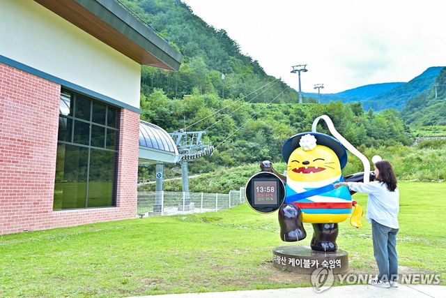 가리왕산 케이블카에 설치된 '와와군'