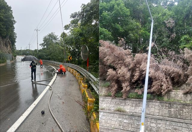 침수된 도로(왼쪽)와 쓰러진 나무