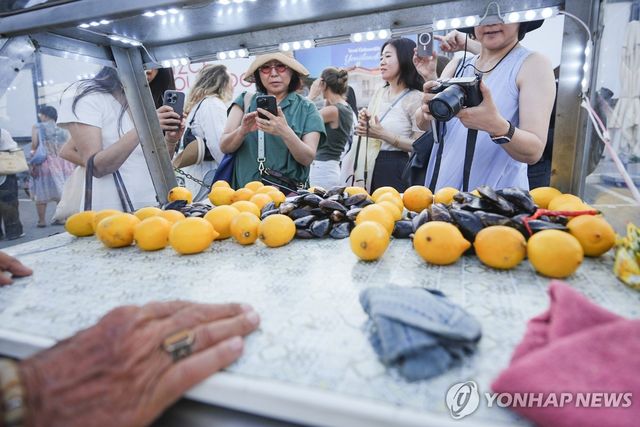 미디예 돌마를 취재하는 튀르키예 미식투어단 [터키항공 제공]