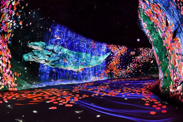 정선 화암동굴 속 '꿈의 정원'