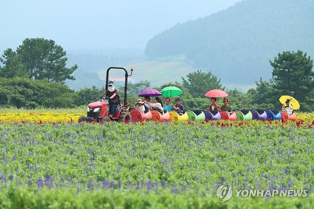 깡통기차 타고 농장 한 바퀴