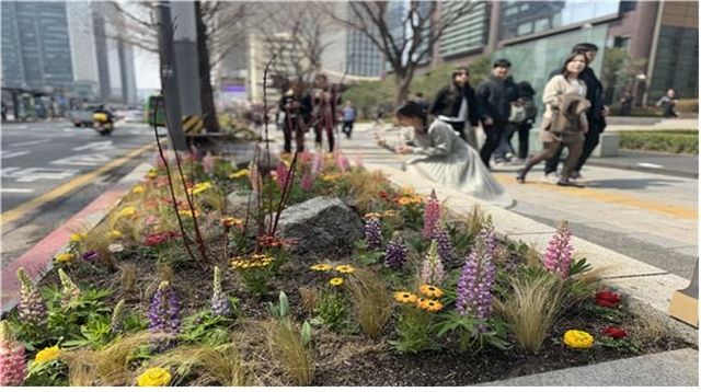 서울 종로구 종로1가 일대 가로정원