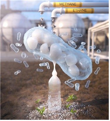 메탄·에탄 혼합 환경에서 바이오플라스틱 생산 연구 모식도