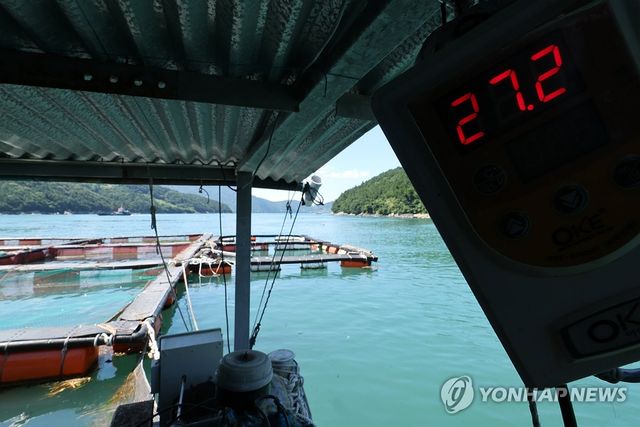 펄펄 끓는 여수 양식장