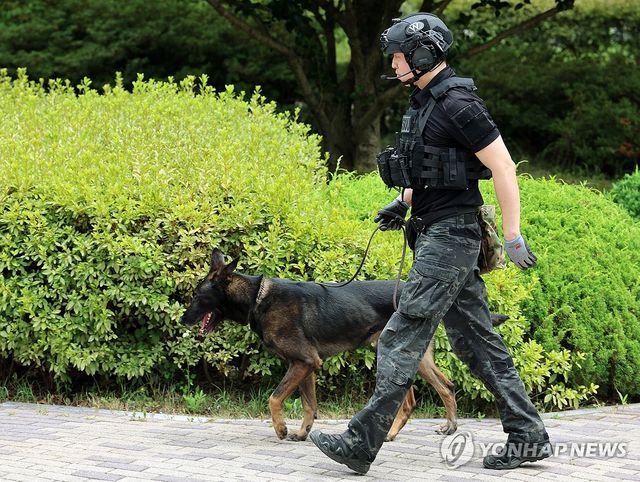 폭발물 수색하는 탐지견