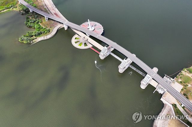 지난 7월 10일 대구 달성군 강정고령보 인근 낙동강에 녹조가 발생해 있다. [연합뉴스 자료사진]