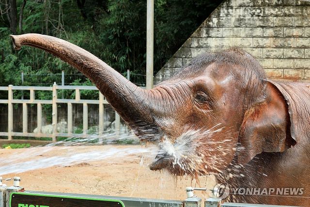 더위에는 물이 최고