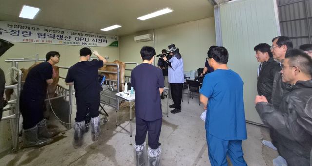 한우암소 수정란 생산 기술 시연회