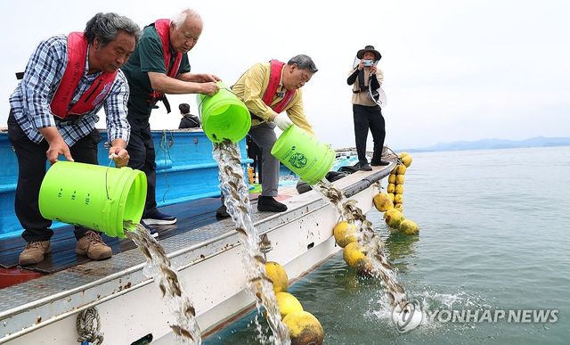 "죽지 마라"…고수온주의보 천수만 양식장서 68만마리 방류