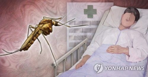 일본 뇌염 환자·빨간집모기