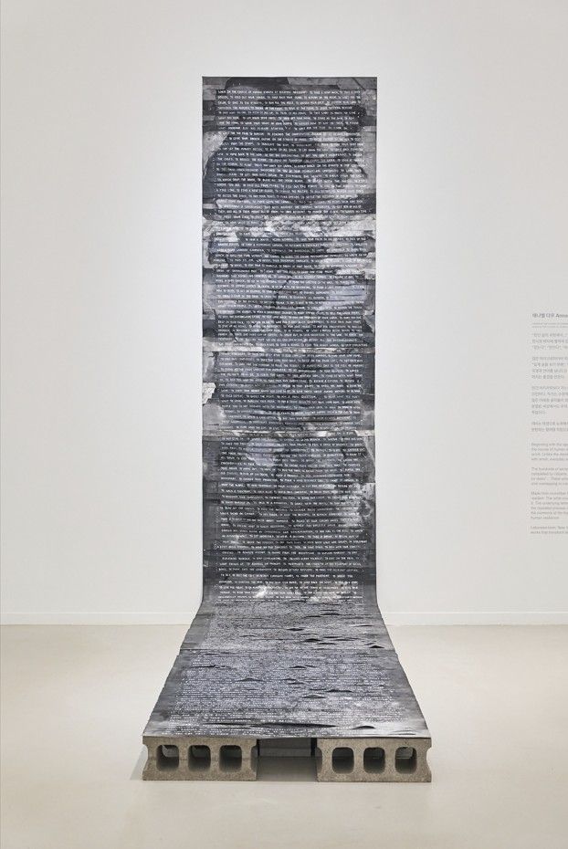 애나벨 다우 작품 전경