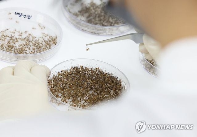 전국에 일본뇌염 주의보 발령 중