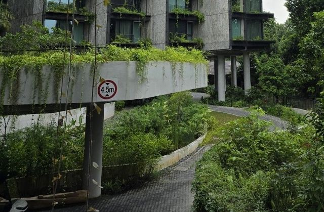 땅에 떠있도록 설계된 만다이 레인포레스트 리조트 바이 반야트리