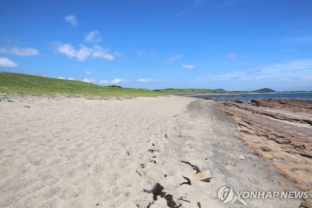 신양리층(사진 오른쪽)과 신양 해안사구