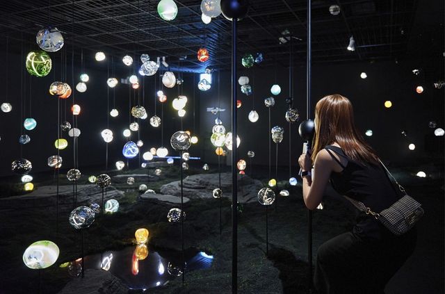 테마공간 '유리코스모스'