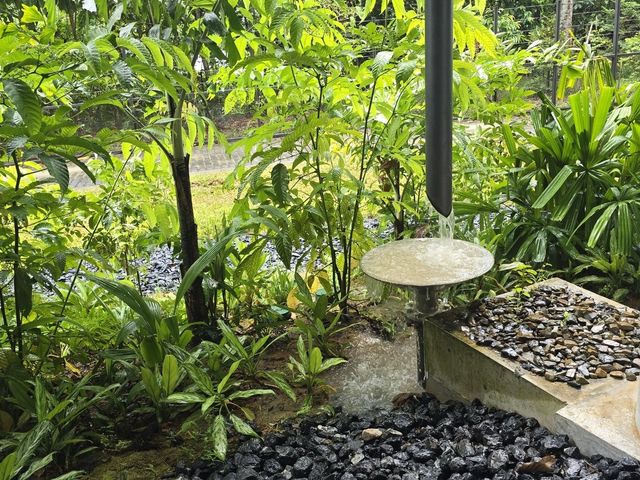 만다이 레인포레스트 리조트 바이 반야트리 빗물 수집 시설물