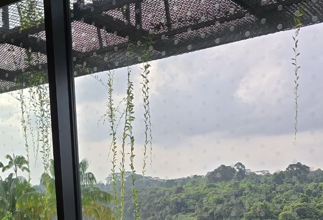 조류 충돌을 방지하기 위한 저반사 창문