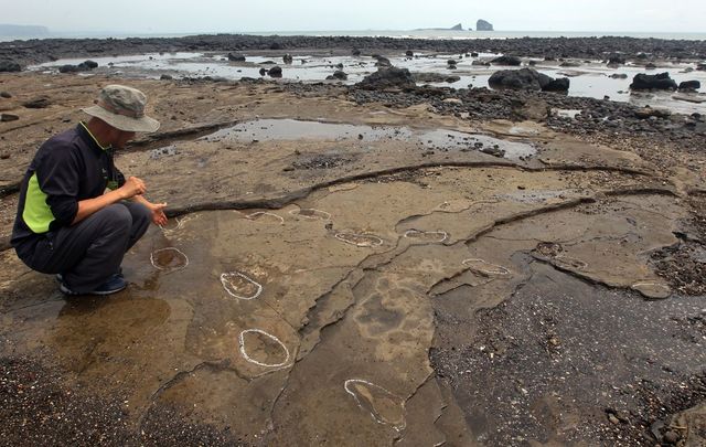 제주 사람발자국 화석