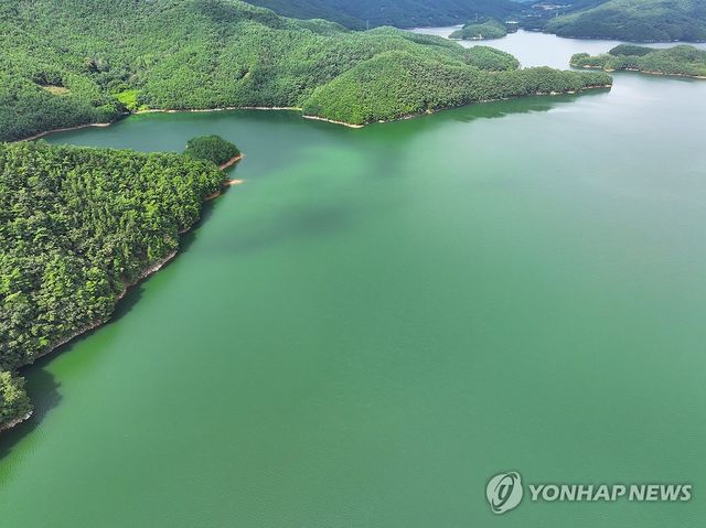 녹조 확산하는 주암호