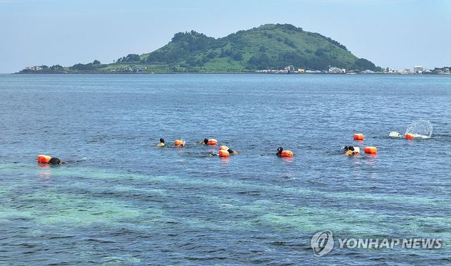 제주 해녀들의 물질