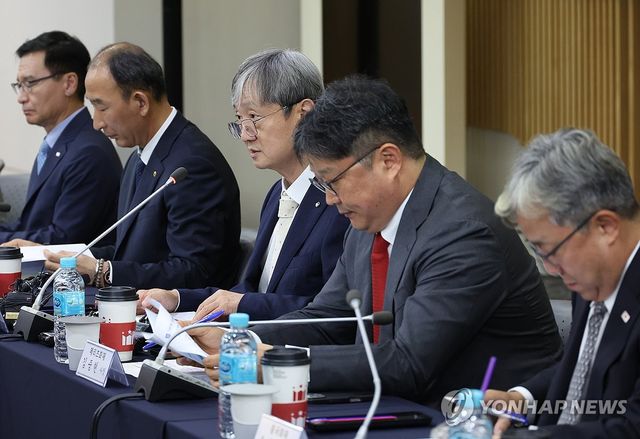 금감원장-보험회사 CEO 간담회