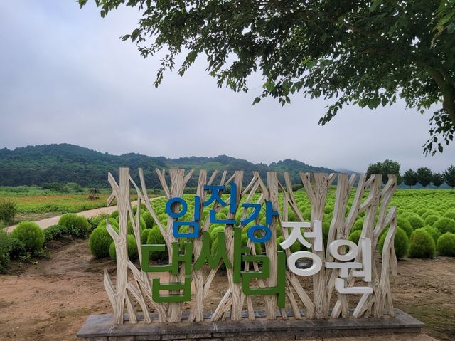 연천 임진강 댑싸리 정원