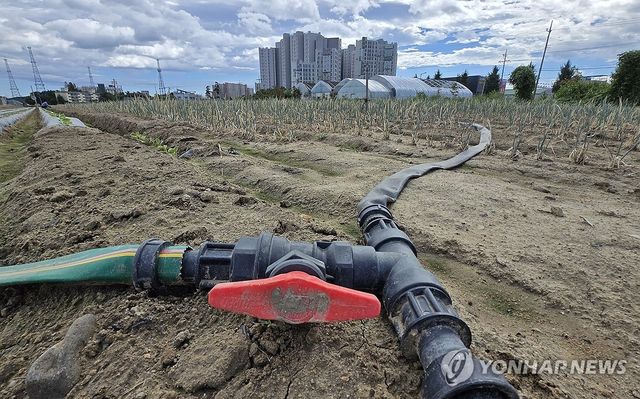 최악 가뭄 속 농업용수 중단
