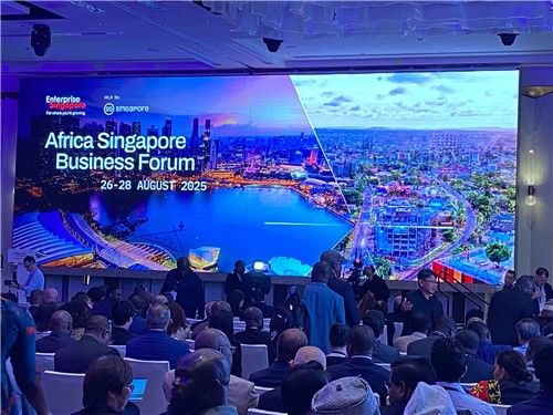 아프리카 싱가포르 비즈니스 포럼