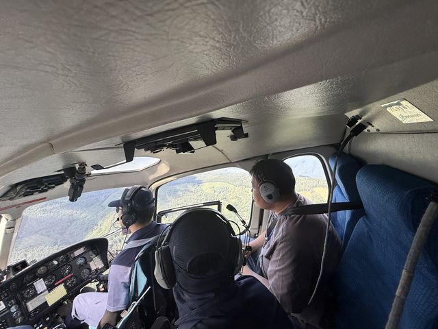 평창군, 소나무류재선충병 항공 예찰