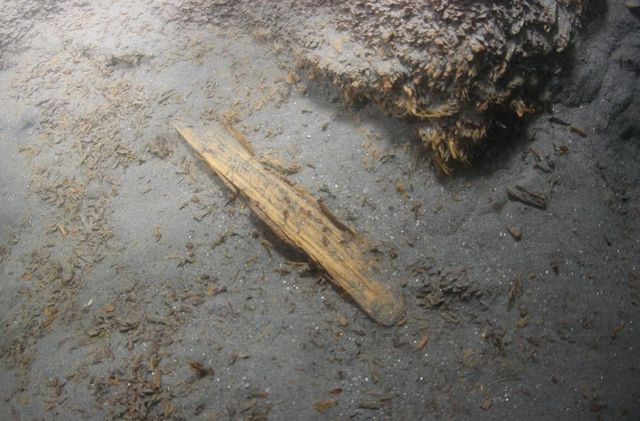 '나주광흥창' 목간 모습 