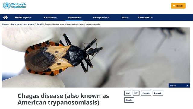 WHO 홈페이지의 샤가스병 설명. 사진은 이 병을 옮기는 흡혈 곤충. 