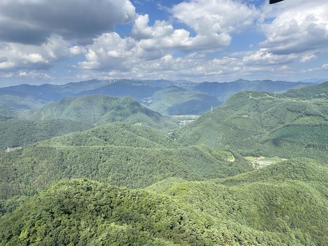 평창군, 소나무류재선충병 항공 예찰