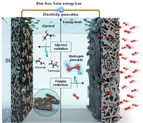개발된 그린 과산화수소·글리세르산 생산 시스템