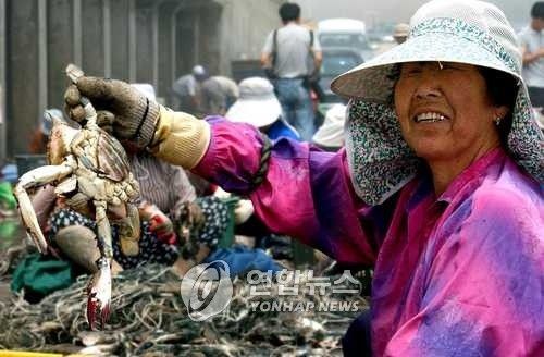 [연합뉴스 자료사진] 