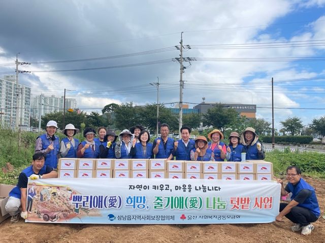 고구마 직접 키우고 수확해 이웃에 기부