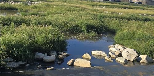 수달 자주 나타나던 사냥터…물이 대폭 줄었다