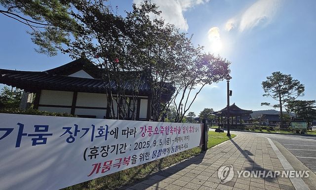 인적 끊긴 강릉오죽한옥마을
