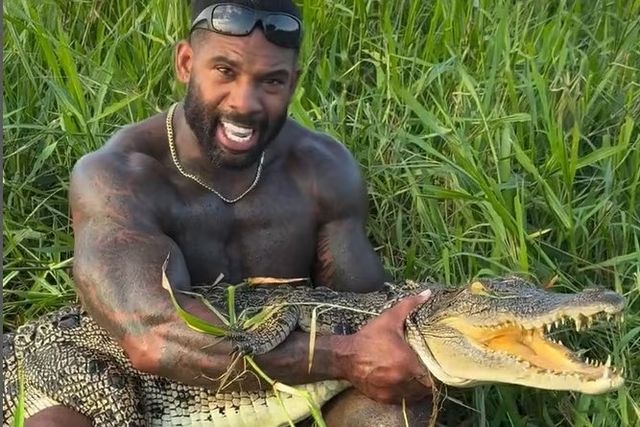 "또 美인플루언서가"…악어와 씨름하는 영상 호주당국 조사