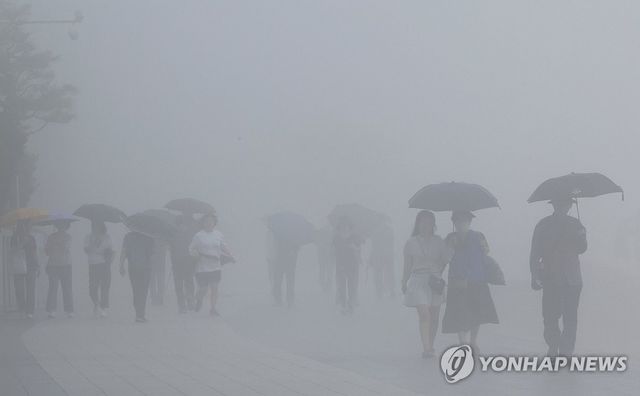 해운대는 안개 끼고 비 내리고