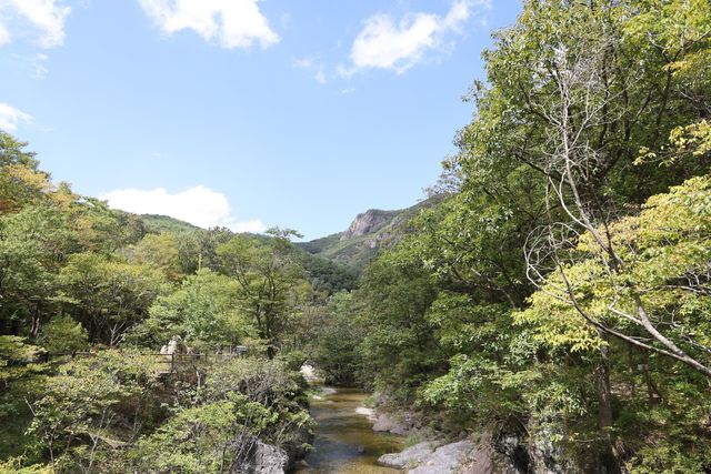 주왕산 국립공원 용추폭포로 가는 길