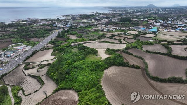 제주 한동리 단지모살 해안사구