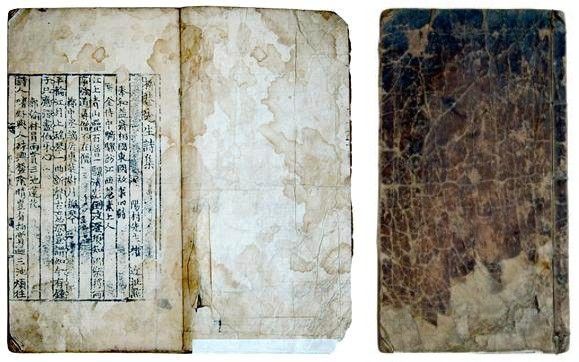 '유항선생시집' 