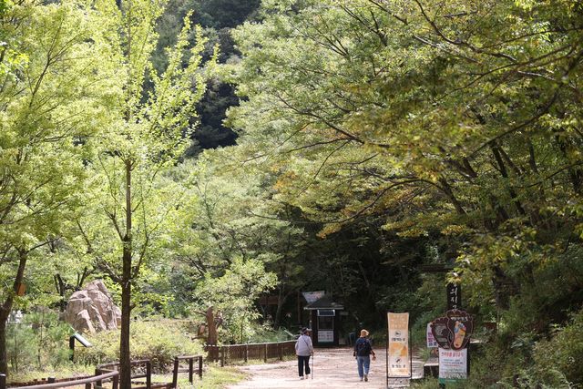 가을 준비 마친 주왕산 국립공원