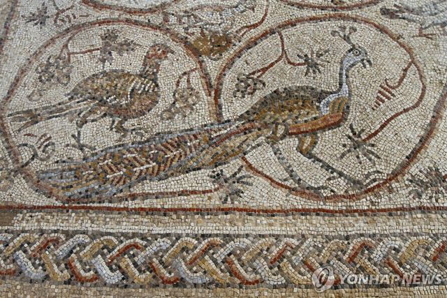 유네스코 세계문화유산으로 등재된 팔레스타인 가자지구의 4세기 유적지 성 힐라리온 수도원에서 발견된 모자이크 유물. [AFP=연합뉴스 자료사진]