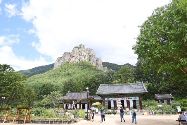 화마 피한 대전사