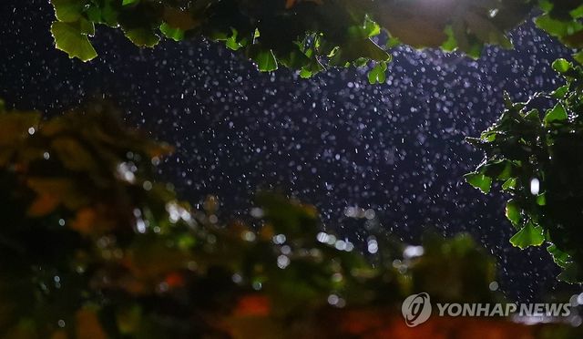 '극한 가뭄' 강릉, 주말 간 비 소식