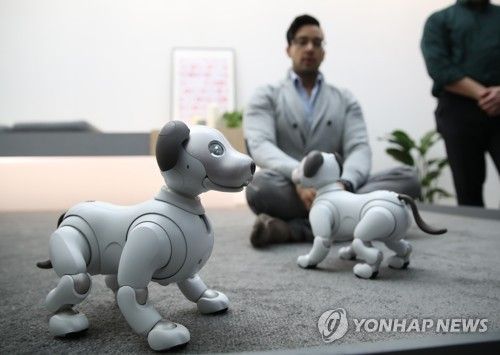 깜찍한 소니의 로봇 강아지 '아이보'