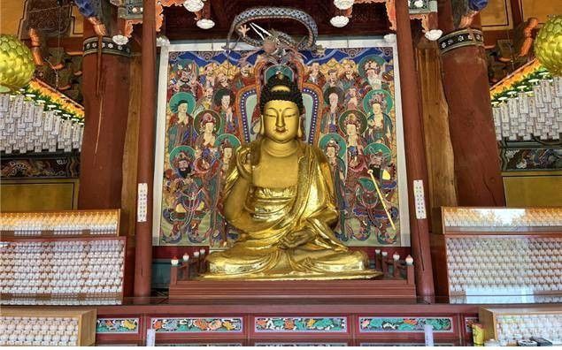 '세종 비암사 소조아미타여래좌상'