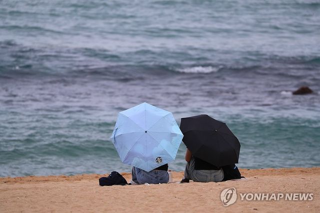 비 내리는 강릉